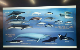 Galeria aktualności Lekcja przyrody w Szkole Podstawowej im. Wojska Polskiego w Mroczy 2