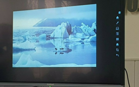 Galeria aktualności Lekcja przyrody w Szkole Podstawowej im. Wojska Polskiego w Mroczy 4