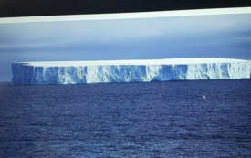 Galeria aktualności Lekcja przyrody w Szkole Podstawowej im. Wojska Polskiego w Mroczy 11