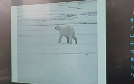 Galeria aktualności Lekcja przyrody w Szkole Podstawowej im. Wojska Polskiego w Mroczy 16