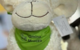 Galeria aktualności  Targi Edukacyjne w Szkole Podstawowej im. Wojska Polskiego w Mroczy  38