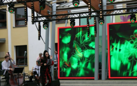 Galeria aktualności Pierwsza Sołtysiada Kujawsko-Pomorska i sukces Sołectwa Matyldzin 27