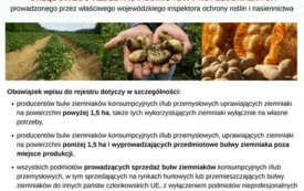Galeria aktualności Urzędowa rejestracja podmiot&oacute;w zajmujących się uprawą i obrotem ziemniak&oacute;w 2