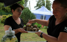 Galeria aktualności Święto Ziemniaka w Matyldzinie &ndash; tradycja, integracja i dobra zabawa 63