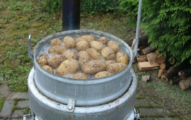 Galeria aktualności Święto Ziemniaka w Matyldzinie &ndash; tradycja, integracja i dobra zabawa 71