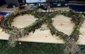 Galeria aktualności Święto Ziemniaka w Matyldzinie &ndash; tradycja, integracja i dobra zabawa 95