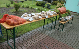 Galeria aktualności Święto Ziemniaka w Matyldzinie &ndash; tradycja, integracja i dobra zabawa 96