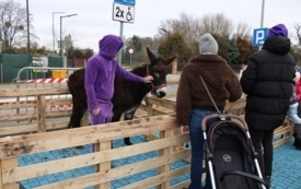 Galeria aktualności Jarmark Św. Mikołaja w Mroczy &ndash; świąteczna atmosfera, lokalne smaki i moc atrakcji 228