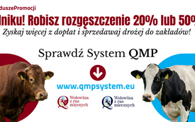 QMP grafika