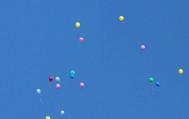 20260520_095858