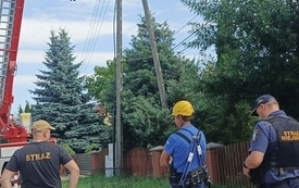 IMG-20260803-WA0009