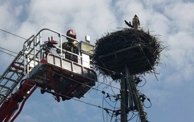 IMG-20260803-WA0005