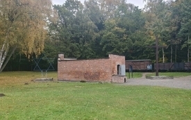 13.