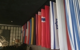 11.