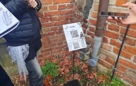 25.