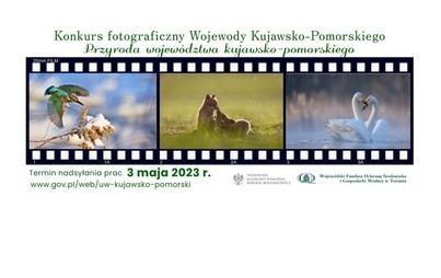 Zdjęcie do Konkurs fotograficzny pn. &bdquo;Przyroda wojew&oacute;dztwa kujawsko-pomorskiego&rdquo;