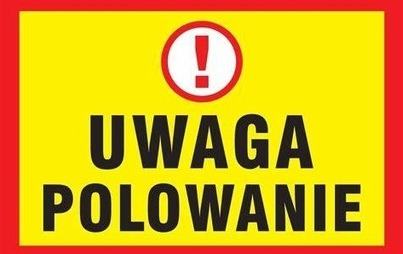 Zdjęcie do Polowanie dewizowe