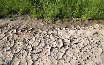 Zdjęcie do Ostrzeżenie - susza hydrologiczna