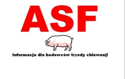 Czerwony napis 'AS' na białym tle. Pod napisem rysunek świni.
