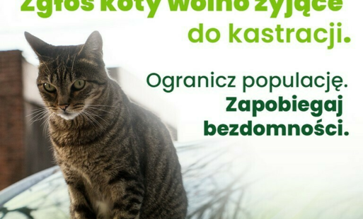 Bezpłatna kastracja zwierząt