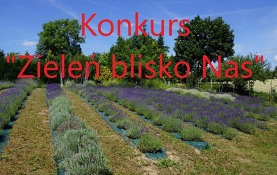 Zdjęcie do Przedłużony termin zgłoszeń do konkursu &quot;Zieleń blisko Nas&quot;