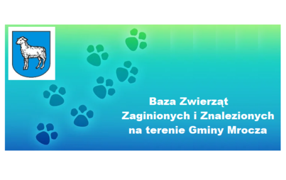 Zdjęcie do Zgubiłeś zwierzę? - Nie czekaj !