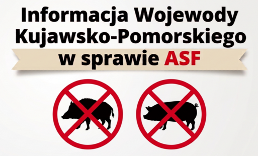 Informacja Wojewody Kujawsko-Pomorskiego w sprawie ASF