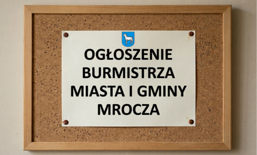 Ogłoszenie o ustnym przetargu nieograniczonym na sprzedaż nieruchomości gruntowej w Mroczy