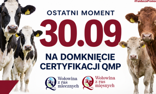Certyfikat QMP – termin uzyskania upływa 30 września 2026 r.