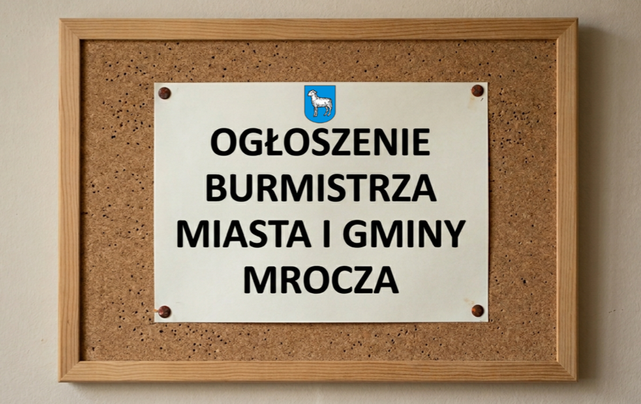 Przetarg na sprzedaż działki w Białowieży